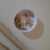 بذر شنبلیله (تخم شنبلیله)