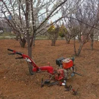 شخم زنی باغ وباعقچه با دستگاه 12اسب دیزلی