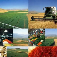 نگارش طرح توجیهی