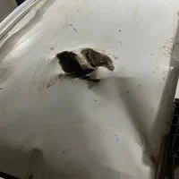 کوییک gx-l صفر خشک ۴۰۴|خودرو سواری و وانت|تهران, طرشت|دیوار