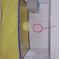 قفس پرنده