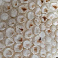 خمیرر گیر  تاافتون لوا ش شاطر نان نانوایی