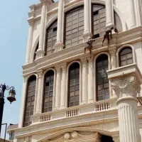 پیچ و رولپلاک سنگ نما.تعمیر نما.راپل.طنابکار