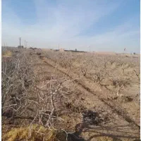 زمین شهرک ایثار