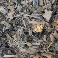 علوفه بسته بندی