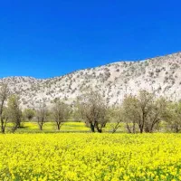 سفر یک روزه به مریوان