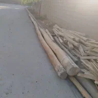 فروش چوب سقفی سالم