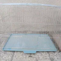 قفس پرنده|لوازم جانبی حیوانات|ایلام, |دیوار