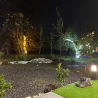 کلبه تک خواب با جکوزی جنگلی نور|اجارهٔ کوتاهمدت ویلا و باغ|نور, |دیوار