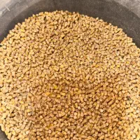 دان مرغ و اردک تخمگذار و گوشتی و سوپر استارتر جوجه|لوازم جانبی حیوانات|تهران, شهران شمالی|دیوار