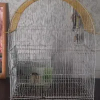 قفس پرنده