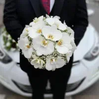 خدمات مجالس تشریفات عقد نامزدی عروسی تولدباغ تالار