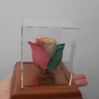 گل مصنوعی|گل مصنوعی|قم, پردیسان|دیوار