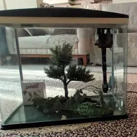 آکواریوم ماهیران