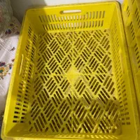 سبد