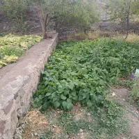 روستای-وشنوه-چهارصد-متر-خانه-فروش-فوری