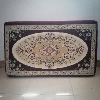 دوجفت پشتی
