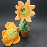 گل پیچکی