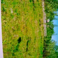 فروش-ویا-تهاتر-زمین-1550مترفوری-در-شهر-خمام