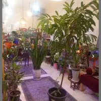 واگذاری گلفروشی