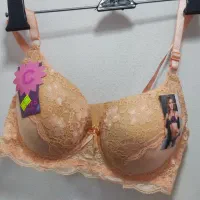 لباس زیر زنانه به علت جمع اوری|لباس|اردبیل, |دیوار