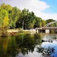 نیاز به سرویس