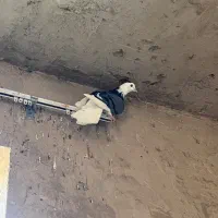 چند عدد طوقی