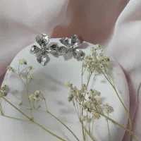 گوشواره استیل|بدلیجات|تهران, تهرانسر شرقی|دیوار