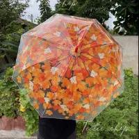 چتر فقط عمده