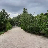 ویلادوبلکس/ویوجنگل/کد۴۲۲۳/حبوباتی|اجارهٔ خانه و ویلا|رویان, |دیوار