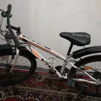 دوچرخه ۲۴ ویوا|دوچرخه، اسکیت، اسکوتر|محمدشهر, همایون ویلا|دیوار