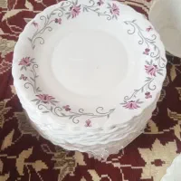فروش چینی نوواجاق|فعالیت داوطلبانه|اصفهان, ارزنان|دیوار