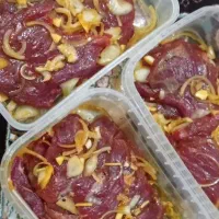 تور تفریحی شخصی vip