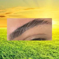 کاشت هیدن لیفت تخصصی ابرو|خدمات آرایشگری و زیبایی|رشت, توشیبا|دیوار