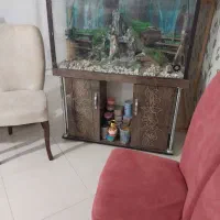 آکواریم|لوازم جانبی حیوانات|مشکین‌دشت, |دیوار