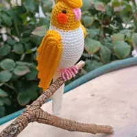 عروسک عروس هلندی