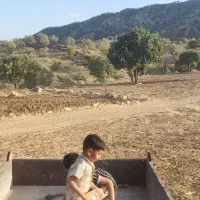 تگه درجه یک ۲۰راس