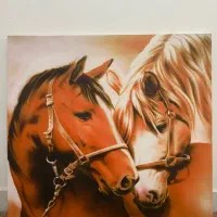 چندتا تابلو دکوری