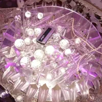 دوعددلوسترهمراه کنترل