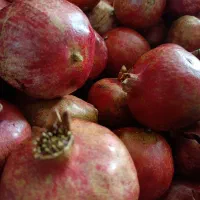 انار شهر رضا