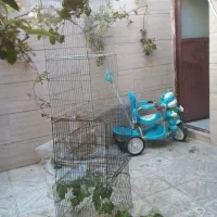 تعداد  قفس ویک گاز پنج شلعه بخاطر کمبود جا|لوازم جانبی حیوانات|بیرجند, |دیوار