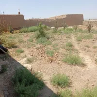 خانه ویلا روستا مقصود اباد|فروش خانه و ویلا|مشهد, تبادکان|دیوار