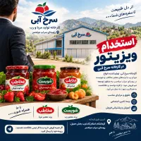 استخدام ویزیتور کارخانه سرخ آبی