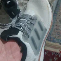 کفش مارک ایداس