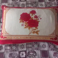 بالشت درحدنو