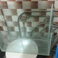 اکواریم نو نوصفر