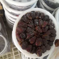 فروش خرما کبکاب درجه یک اعلاء بوشهر عمده و کیلویی