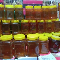 گون بهاره آویشن مرکبات...|خوردنی و آشامیدنی|سبزوار, باهنر|دیوار