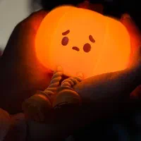 چراغ خواب شارژی کدو تنبل قیمت عمده|چراغ خواب و آباژور|تهران, نیلوفر|دیوار