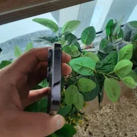 ۱۴ پرو با ریجستری|موبایل|تهران, گلستان (شهرک راه آهن)|دیوار